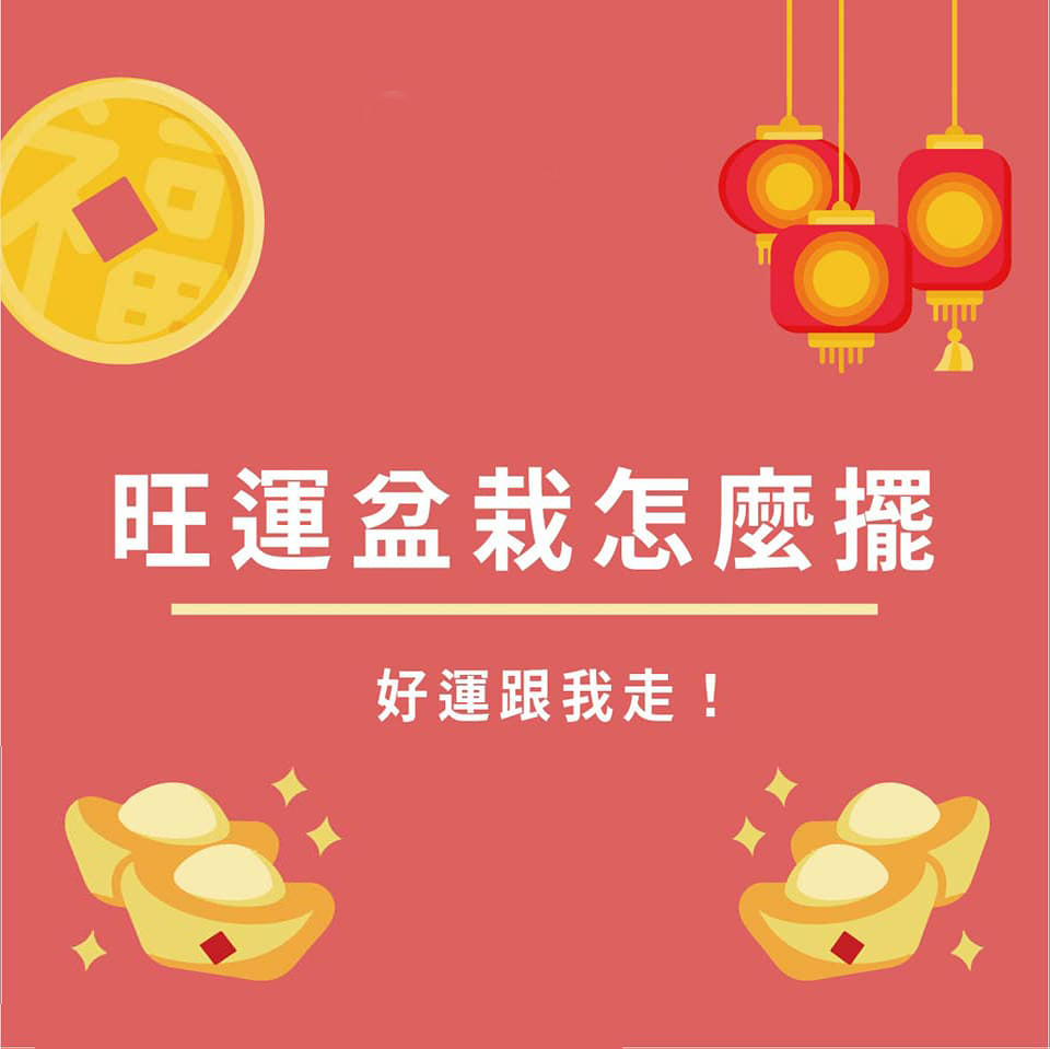 01-【風水指南】旺運盆栽怎麼擺